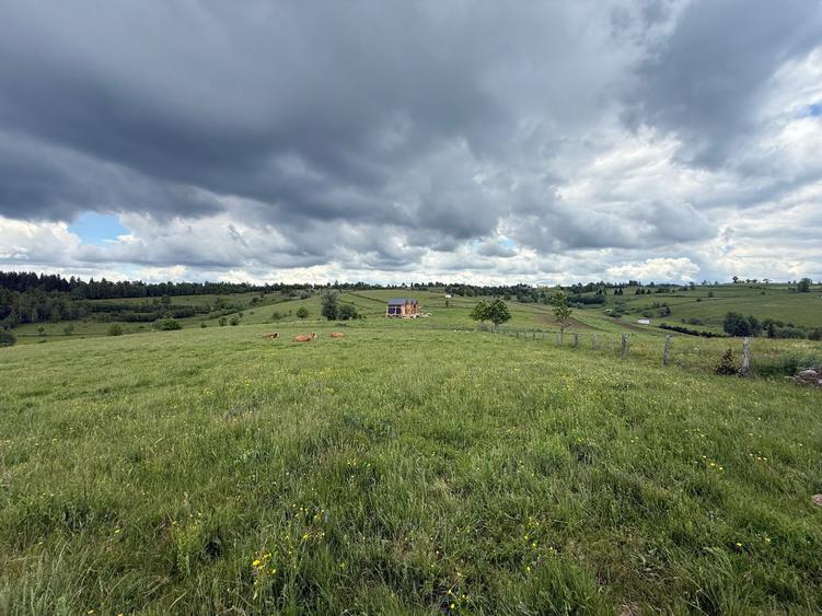 Teren agricol de 13600 mp, în Mărișel