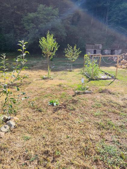 Casă cu Teren 2000 Mp în Căzănești