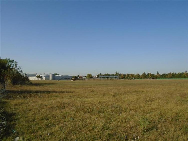 Teren Construcții intravilan de 25000 mp, în Nord