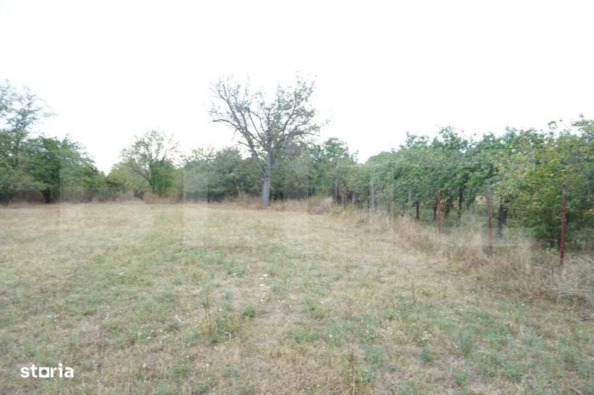 Teren intravilat 1777 mp, front 16 m, zona centru Aricestii Rahtivani - 6