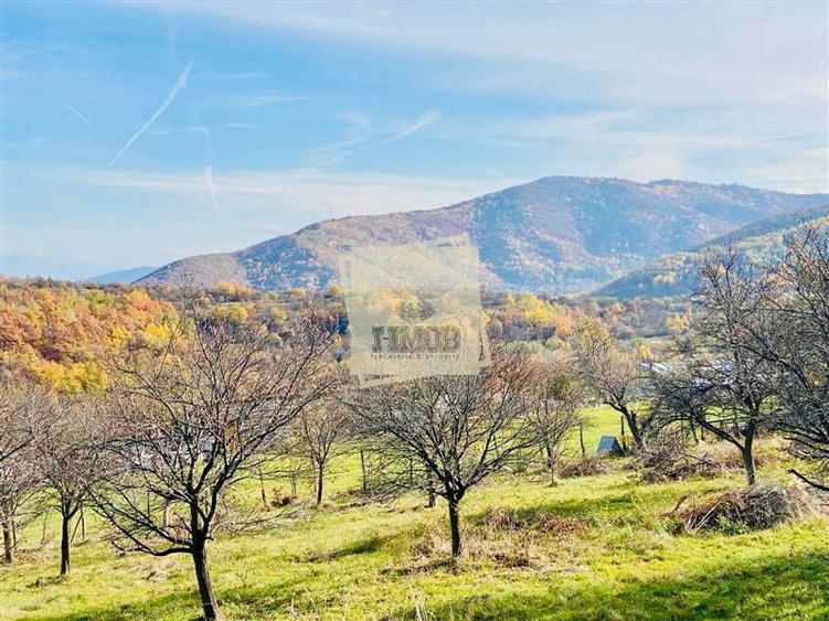 Teren Construcții intravilan de 1000 mp, în Central