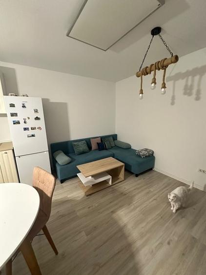 Apartament cu 2 camere semidecomandat în Tunari
