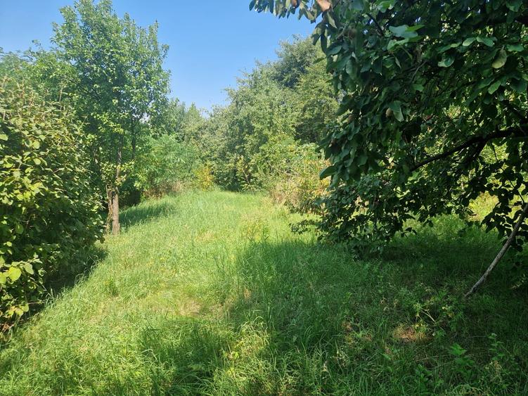 Teren Construcții intravilan de 891 mp, în Feleacu
