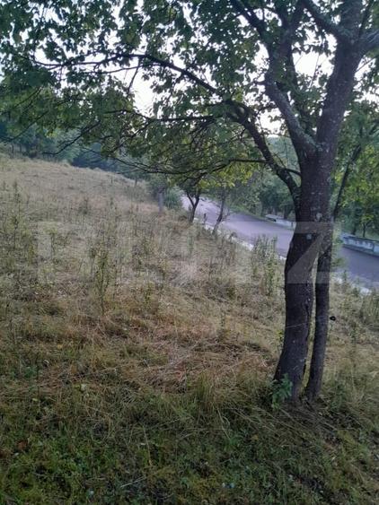 Teren agricol extravilan de 2175 mp, în Șesuri
