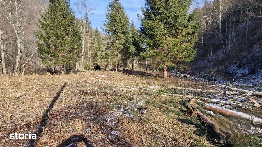 Teren de 3279 mp, în Râșca