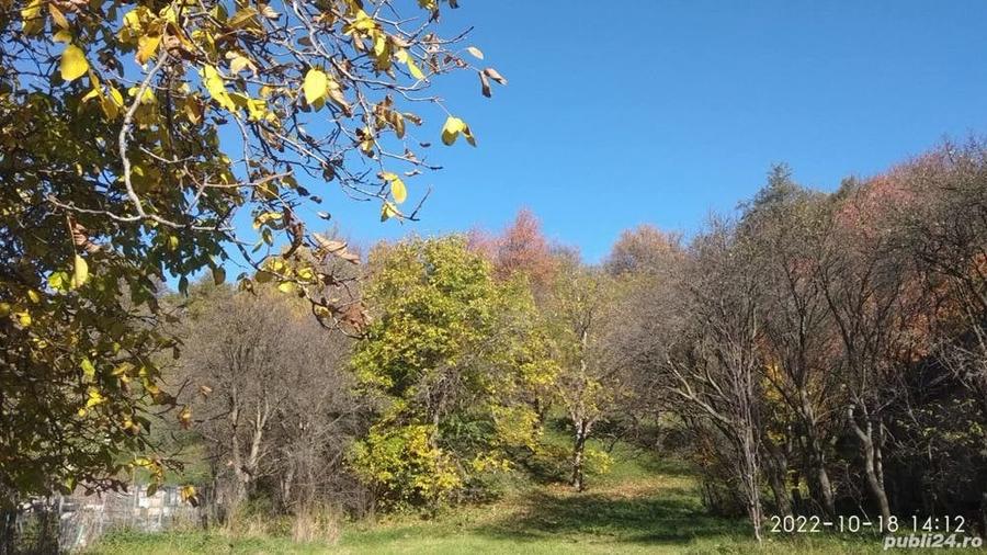 Teren de 9081 mp, în Crăcăoani