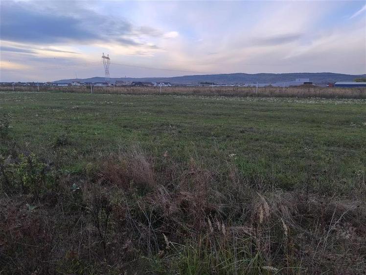 Teren Construcții intravilan de 500 mp, în Livada de Bihor
