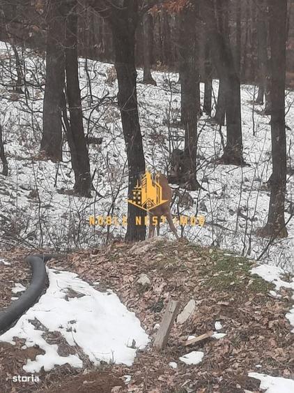 Casă cu 4 camere în Lupueni