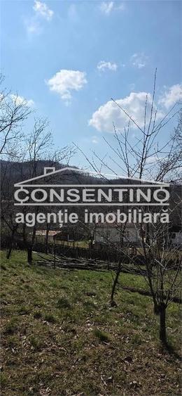 Casă cu Teren 2200 Mp în Izvoru (Tisău)