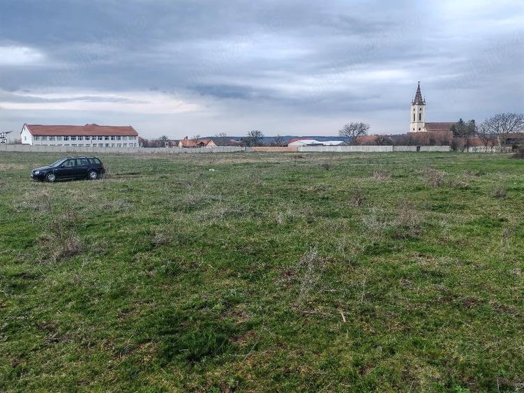 Teren de 2600 mp, în Apoldu de Sus
