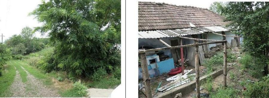 Casa si teren Costinesti, Botosani, ID: R2728052 - 12