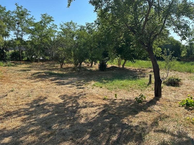 Casă cu Teren 2000 Mp în Văcăreasca