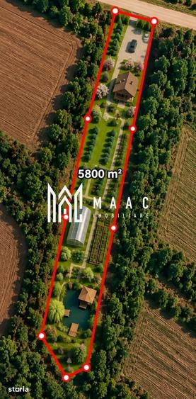 Teren de 5800 mp, în Roșia