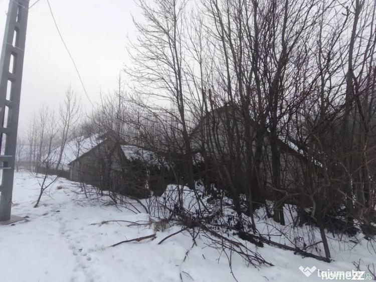 Casă cu 3 camere cu Teren 5000 Mp în Negostina