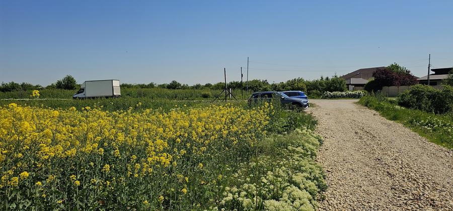 Teren Construcții intravilan de 4000 mp, în Săbăreni