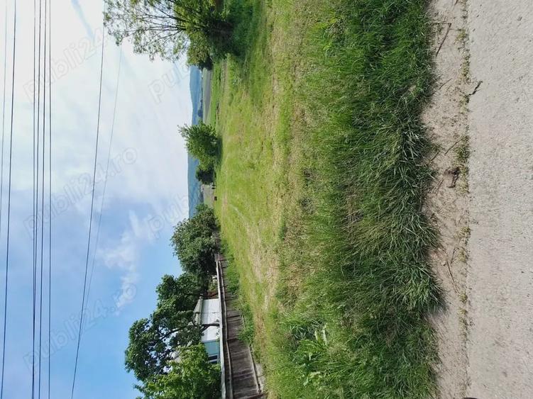 Teren de 4500 mp, în Siliștea