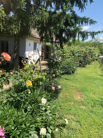 Casă cu 2 camere cu Teren 1000 Mp în Crevedia