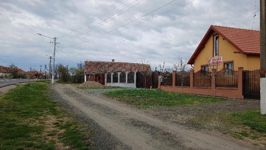 casa noua in vinga - 4