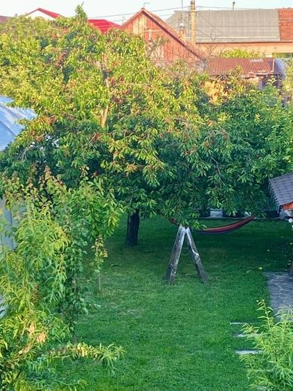 Casă individuală cu 4 camere cu Canalizare în Giarmata