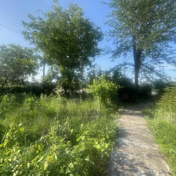 Casă în Podu Doamnei