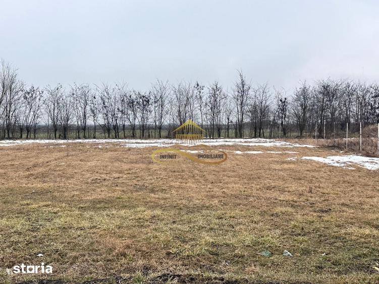 Teren de 900 mp, în Săucești
