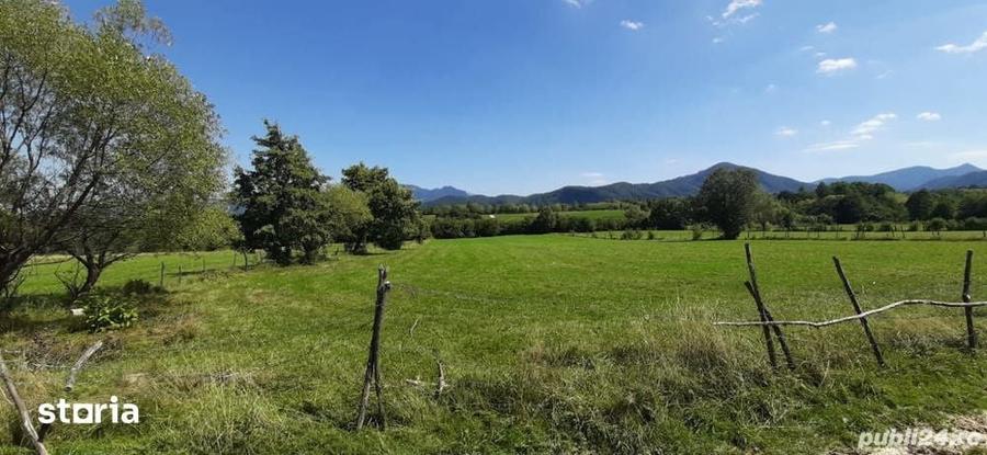 Teren de 9350 mp, în Bran