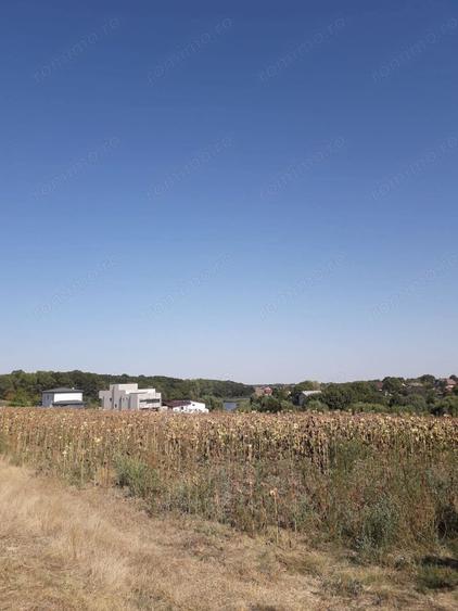 Teren de 5800 mp, în Moara Vlăsiei