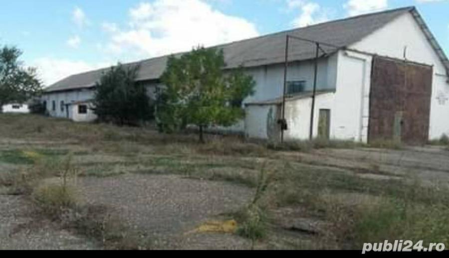 Spațiu comercial, de 8,438 mp, în Cobadin