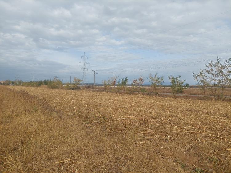 Teren Construcții intravilan de 9844 mp, în Dumbrava