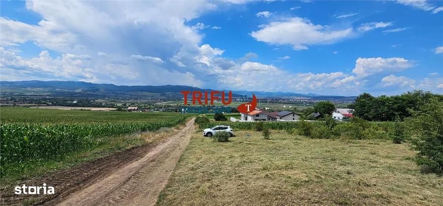 Spațiu comercial, în Ciugud