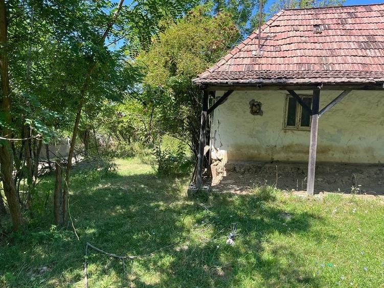 Teren de 2774 mp, în Silivașu de Câmpie