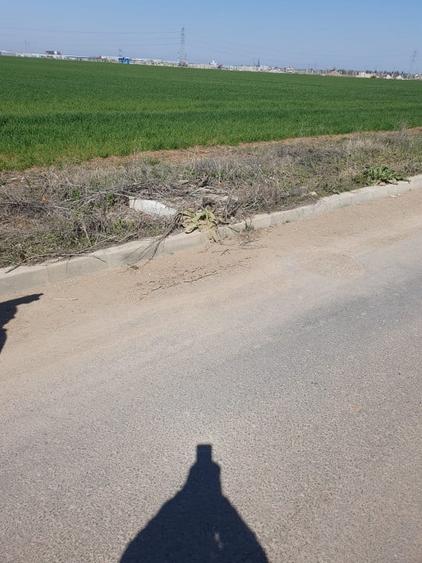 Teren Construcții intravilan de 10000 mp, în Dobroești