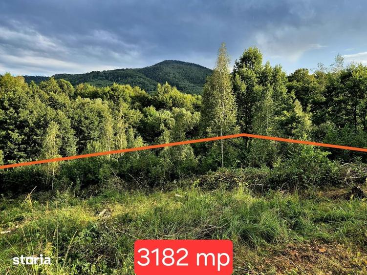 Teren de 3182 mp, în Șinca