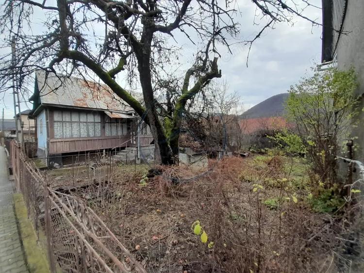 Casa traditionala cu anexe si gradina,Zona Nasaud - 14