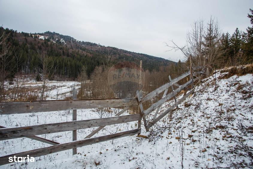 Teren de 49000 mp, în Borca