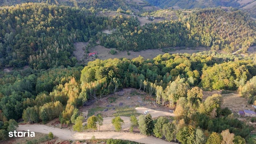 Teren de vanzare, 7300 mp, acces pavat - 12