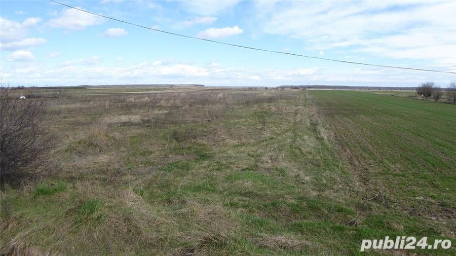 Teren de 4400 mp, în Tărtășești