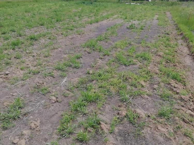 Teren Construcții extravilan de 5000 mp, în Exterior Nord