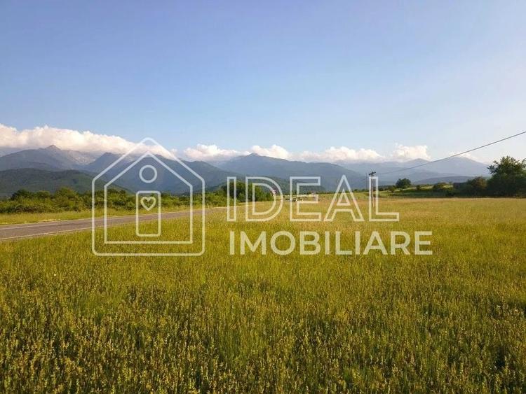 Teren agricol extravilan de 1800 mp, în Cârțișoara