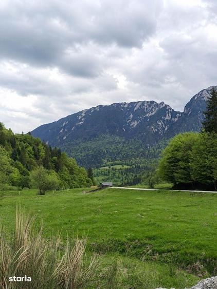 Zarnesti-Barsa Fierului-Teren 1.893 mp pentru Casa de vacan?a, A-frame - 5