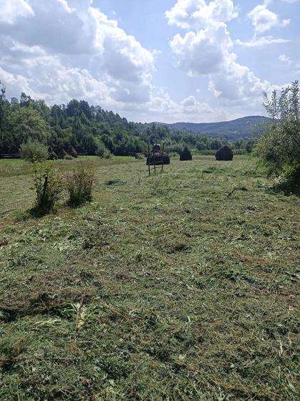 Casă cu Teren 35000 Mp în Strâmtura