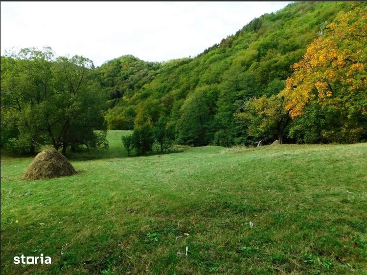 Teren de 2400 mp, în Pietroșani