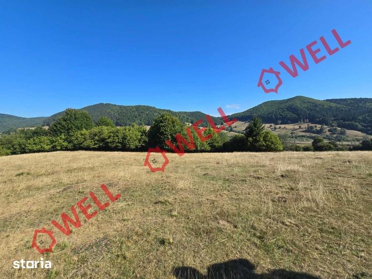 Teren de 7766 mp, în Vama Buzăului