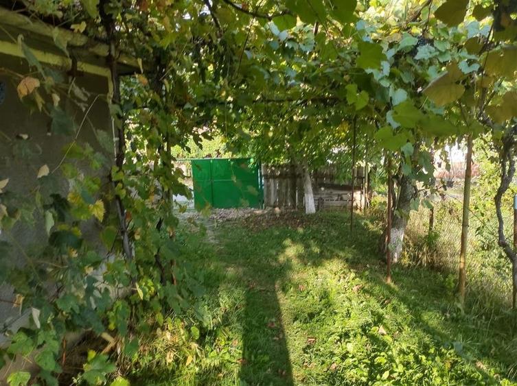 Casă cu 1 camere cu Teren 1100 Mp în Calea Mare