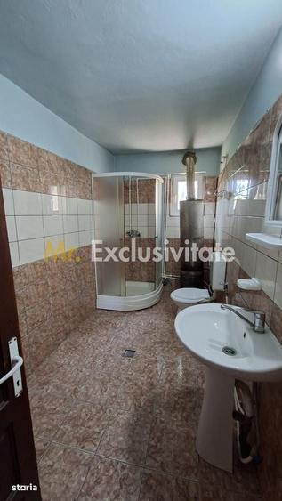 Casă cu 3 camere în Teiu