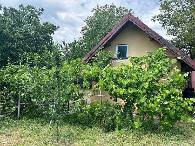 Casă cu Teren 500 Mp în Frumușani