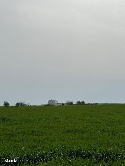 Teren de 5000 mp, în Central