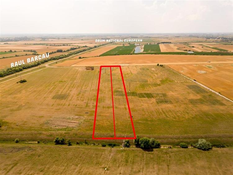 Teren intravilan de 11013 mp, în Roșiori