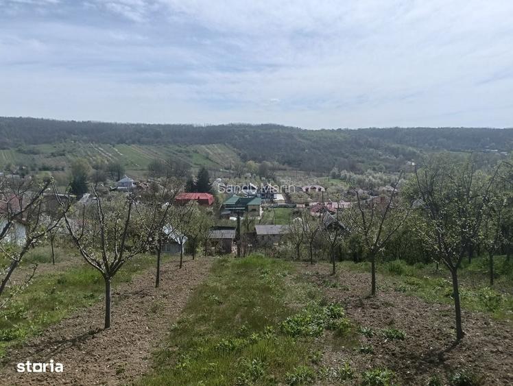 Casă cu 2 camere cu Teren 2500 Mp în Bogați