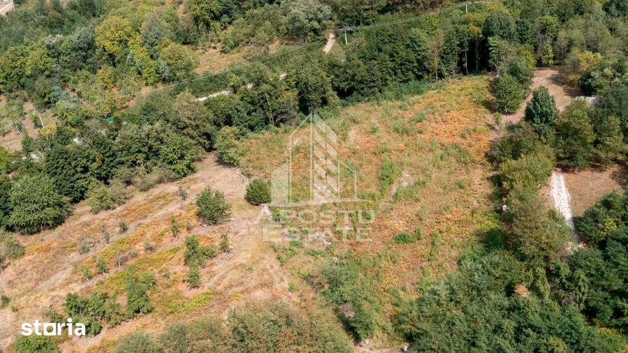 Teren de 5000 mp, în Turnu Ruieni
